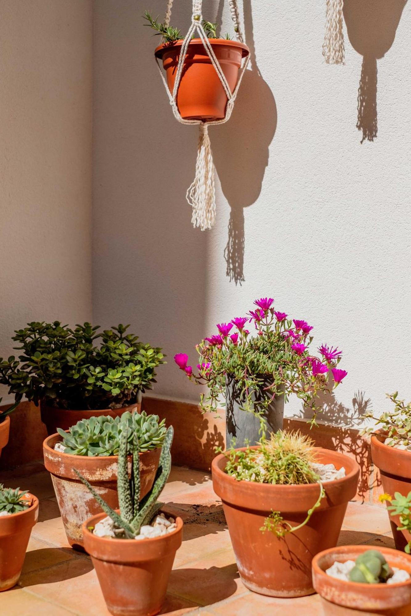 Casa Creativa ラゴス エクステリア 写真